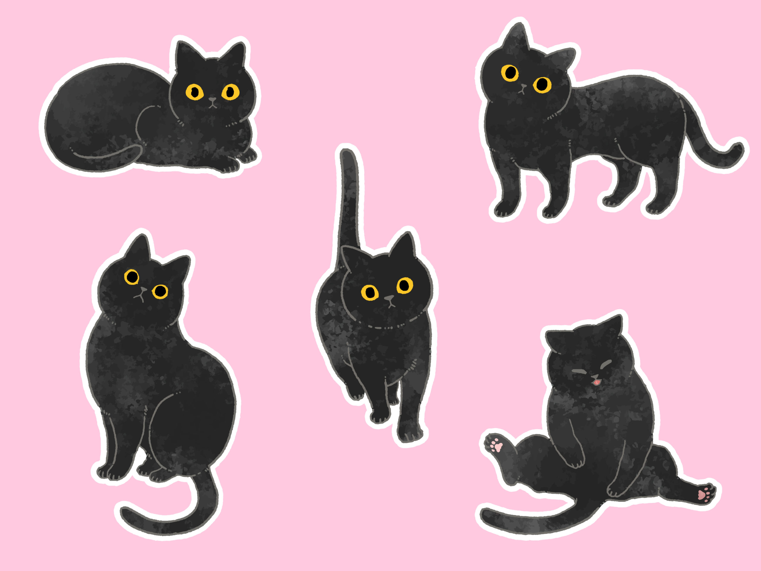「黒猫に和風の名前をつけるのなら？かわいい・おしゃれ・意味深な名前を紹介」